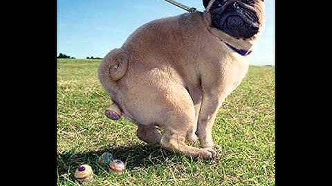 -G-Eazy - ---- Its not eazy Ft. Kermet