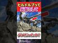 ガンダムのヒルドルブって兵器としてダメだったの？ #ガンダムの反応集 #機動戦士ガンダム #機動戦士ガンダムMS IGLOO