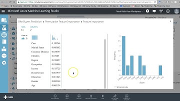 Azure Machine Learning Studio: Permutation Feature Importance