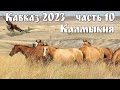 Кавказ-2023, часть 10-я: Загадочная Калмыкия и город Элиста  |  Kalmykia and the city of Elista