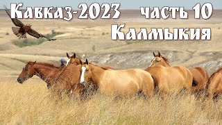 Кавказ-2023, часть 10-я: Загадочная Калмыкия и город Элиста  |  Kalmykia and the city of Elista