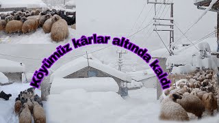 Zemheri Ayında Zor Günler~Kar 1 Metreyi Aştı 🌨️🥶