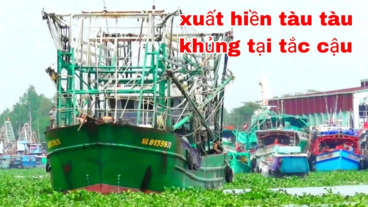 XUẤT HIỆN TÀU THÉP ĐÁNH CÁ TẠI SÔNG TẮC CẬU SIÊU KHỦNG
