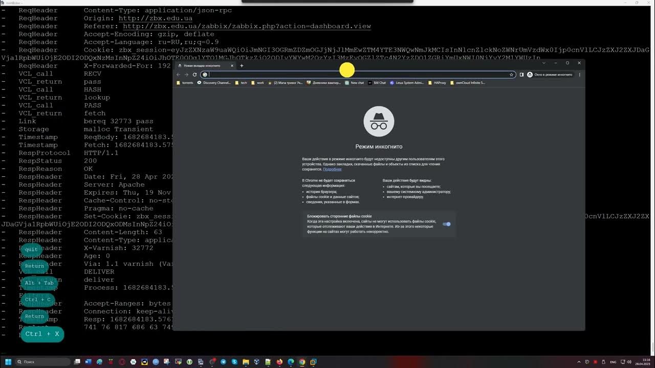 Установка Varnish в связке с Zabbix 6.4 YouTube