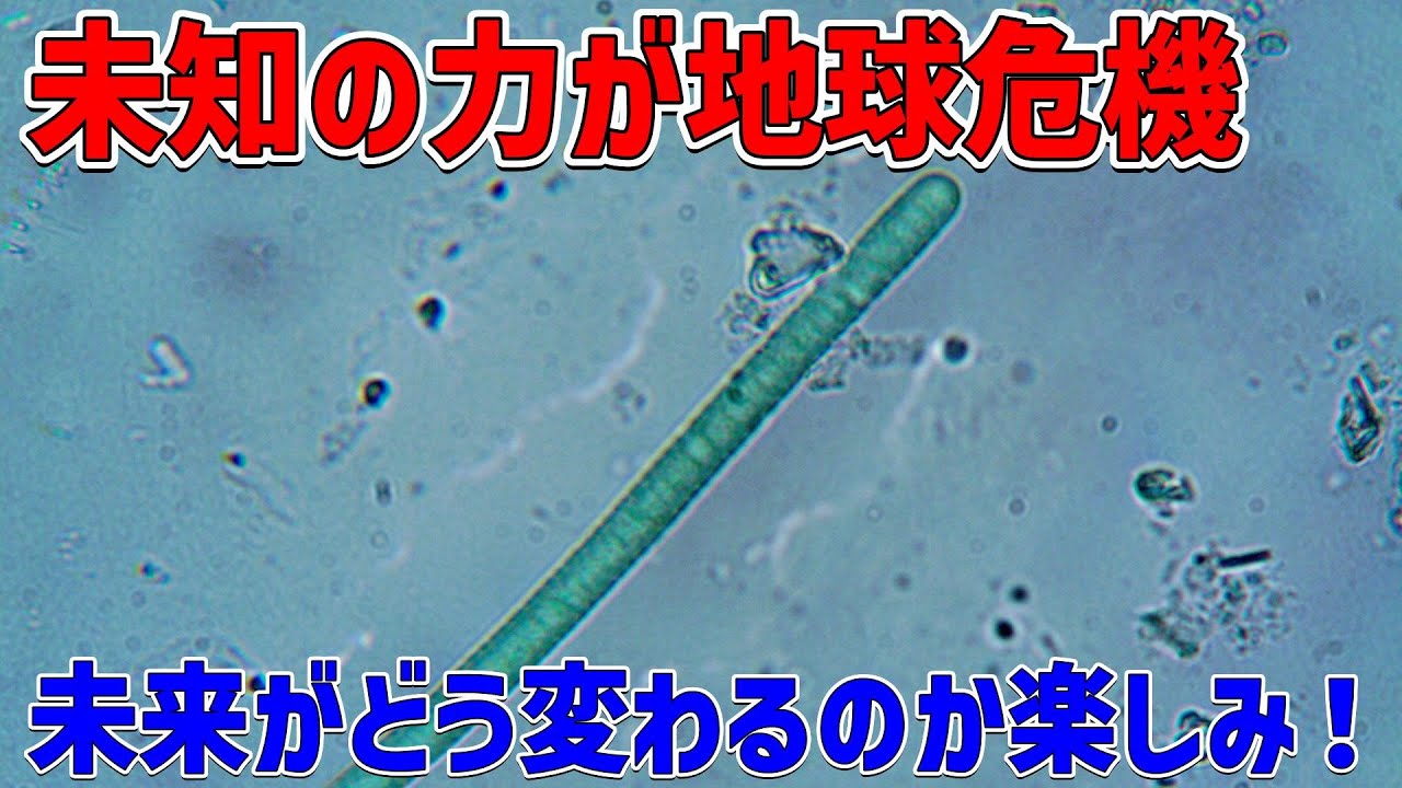 氷の国の微生物が地球温暖化に挑む：アイスランドの地下で起こる驚きのエコシステム変化