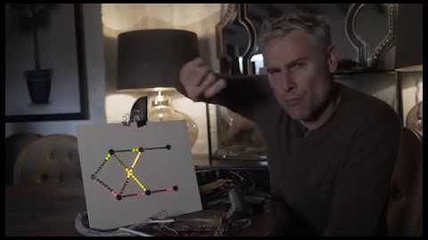 The Lateral Line, Carp & Barbel Fish Brains, Ivan Carson