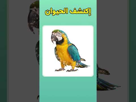 من هذا الكائن الغامض قد يخدعك ظله