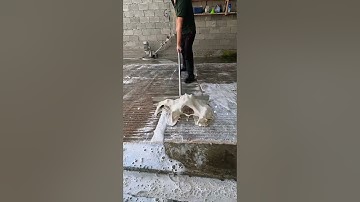 Foam scraping #5 #asmr #satisfying #carpetcleaning #carpet #foam #smooth