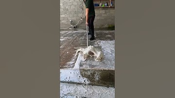 Foam scraping #5 #asmr #satisfying #carpetcleaning #carpet #foam #smooth