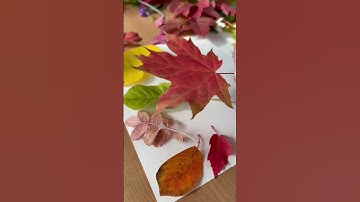 #قرآن #قران_كريم #tilawat #تلاوة_خاشعة #تلاوة_هادئة #راحة_نفسية #العفاسي