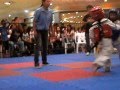 Petron Turbo Visayas Age Group Taekwondo Championships