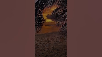 رَبِّ هَبْ لِي مِنَ الصَّالِحِينَ (100) فَبَشَّرْنَاهُ بِغُلَامٍ حَلِيمٍ (101) #القارئ_محمد_اسبيعان