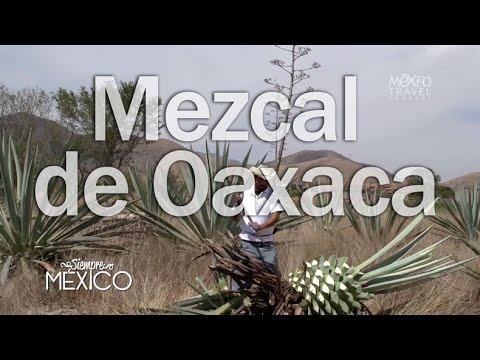 Siempre México | Oaxaca y su mezcal | 2x04