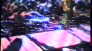 Psychic TV First Transmission 1982 3 4 VHSRip XviD Z Com