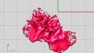 RealFlow in Rhino