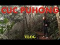 Im dschungel des ltesten nationalpark vietnams  vlog 5 cuc phuong