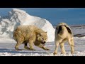 Guardian Dog vs Wild Animals | Top 5 Most Amazing Moments