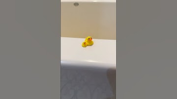 We aren’t gaining any subscribers 😭 #fyp #3dprinting #duck #funny #subscribe