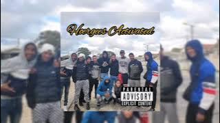 Hoergees Activated...(Joninho,Nanku, Stoutget, Dylan)