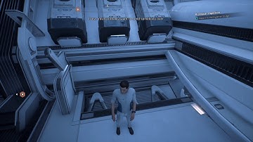 Andromeda Walking Bug