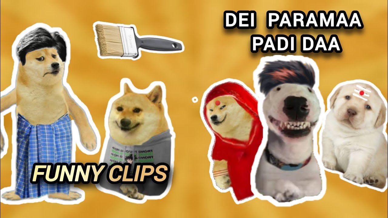 Paramaa padi daa 😂😂🤣 | cheems funny clips | naughty cheems 