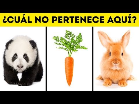 Video: Cómo Determinar Tu Tipo De Pensamiento