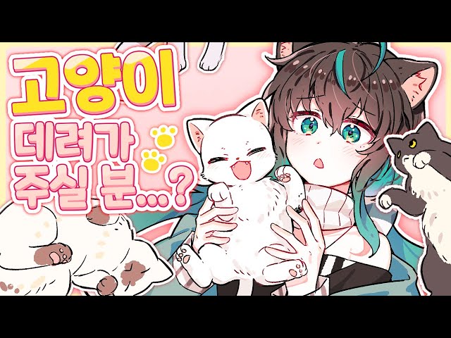 ✂️ 살던 집이 터져서 키우던 고양이들이 노숙하게 된 썰.avi ✂️のサムネイル