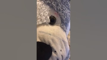 POV:you deleted the App Store