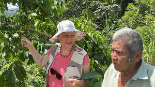 The AMAZING world of coffee in 1 min and why the World Is Running Out Of Coffee !!