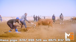 SHIJA NG'WANA NGONG'WA (MGANGA WA JADI) __  AKIWA USANGU MKOANI MBEYA