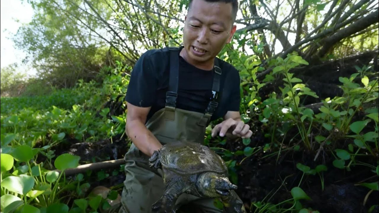 花800包下一口荒废的水葫芦塘，没想到最后竟然…