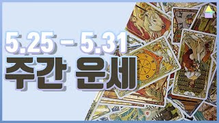 [타로카드] ☀주간운세? 5/25~5/31 PICK A CARD