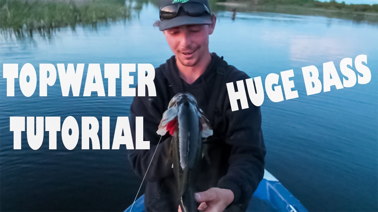 HOW TO FISH FOR BASS WITH TOPWATER FROGS (TUTORIAL) YouTube