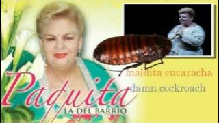 Paquita la del Barrio - Rata de dos patas (Lyrics in Spanish/English)
