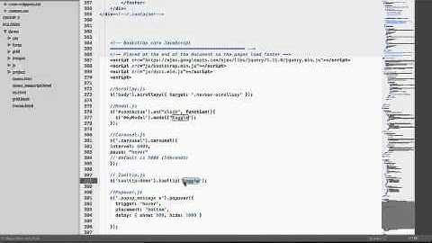 Bootstrap 3  The Complete Guide Course #31- Tooltip js
