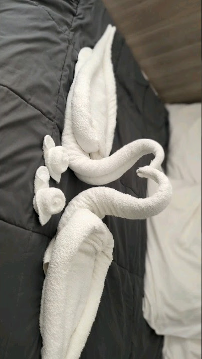 Easy Swan Towel Folding Beginner friendly tachniq #shorts