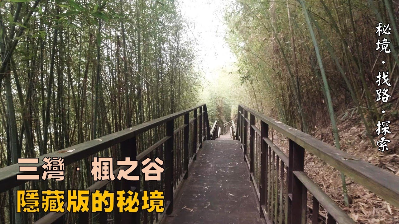 秘境 找路 探索 苗栗三灣 楓之谷 藏在山谷中的幽靜步道與竹林秘境n0 2020 50 Youtube