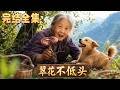 全集爽看📌新婚夜被惡兒媳趕走!六十歲老太進山採藥竟是千載傳人,帶靈犬反手端掉黑心資本!#短劇 #女性覺醒 #逆襲 #打臉