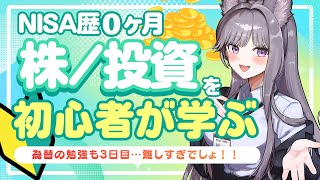 為替ってつまりどう影響するの？ファンダメンタルズ,政治的・市場の要因【投資初心者の勉強配信｜ツイッチ同時配】