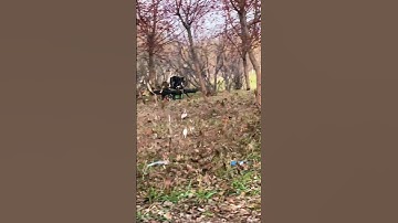 Flying fpv drone in the forest😲Thank you @木氏航拍 nice video ❤️