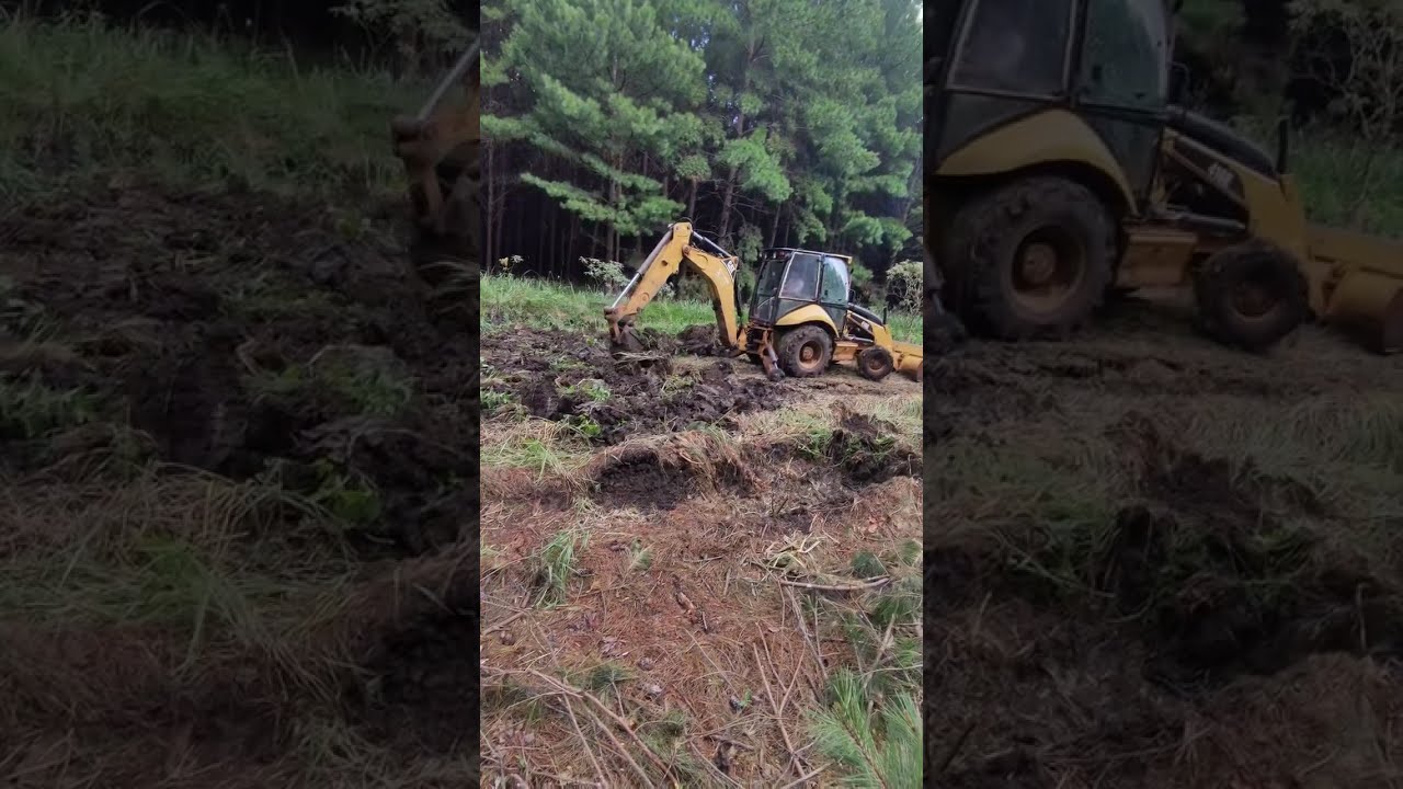 #video #recuerdos de todas las actividades #viralvideo #viral #viralshorts #bell #forest #viralshort