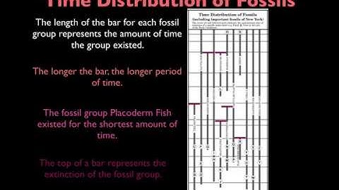 Geologic Time Scale Part 2