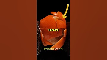 Why Reese’s Feels Impossible to Resist