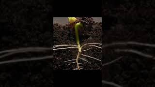 Allah C.c Ol Der Ve Olur...