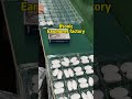 Jfsonic earbuds production#factory #earphones #wholesale #audio #fonesdeouvidobluetooth