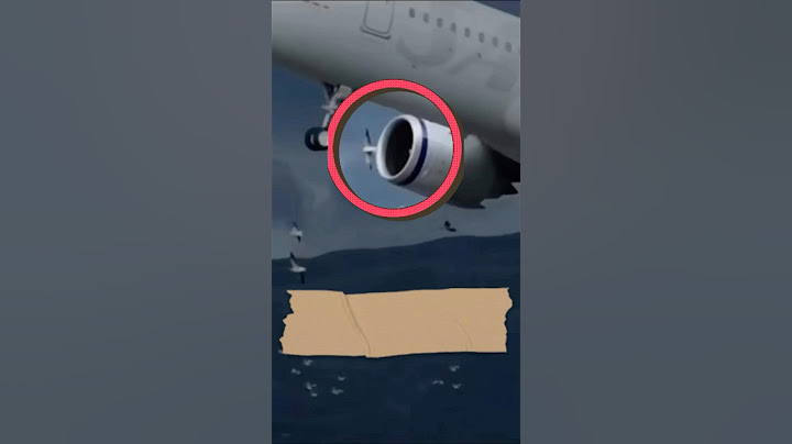 🔥 Bir Kuş Savaş Uçağın motoruna Girerse Ne Olur? #shorts  #havacılık #automobile #aviation #news