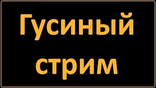 Гусиный Стрим - В Понедельник 1 Августа!