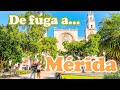 Mérida. La capital de Yucatán. ¿Qué hacer? ¿Dónde comer? Guía