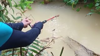 FISHING FOR GREEDY FISH IN MUDDLY WATER, BRO....‼️