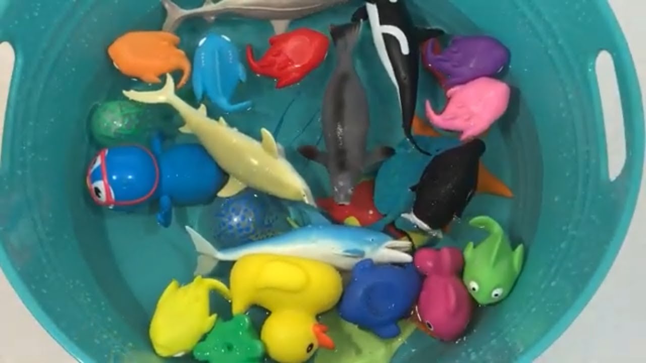 Best Sea Animals Learn Colors for Kids Pool Box of Toys YouTube